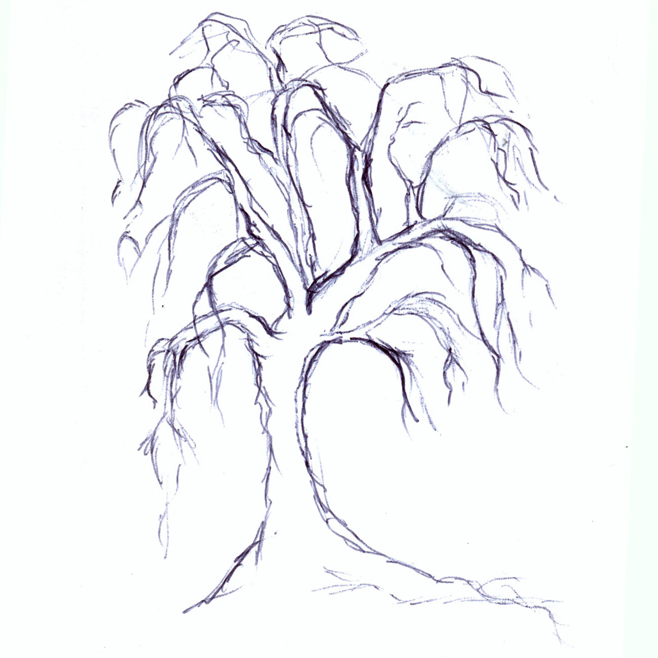 Spooky Tree Drawing at Explore collection of