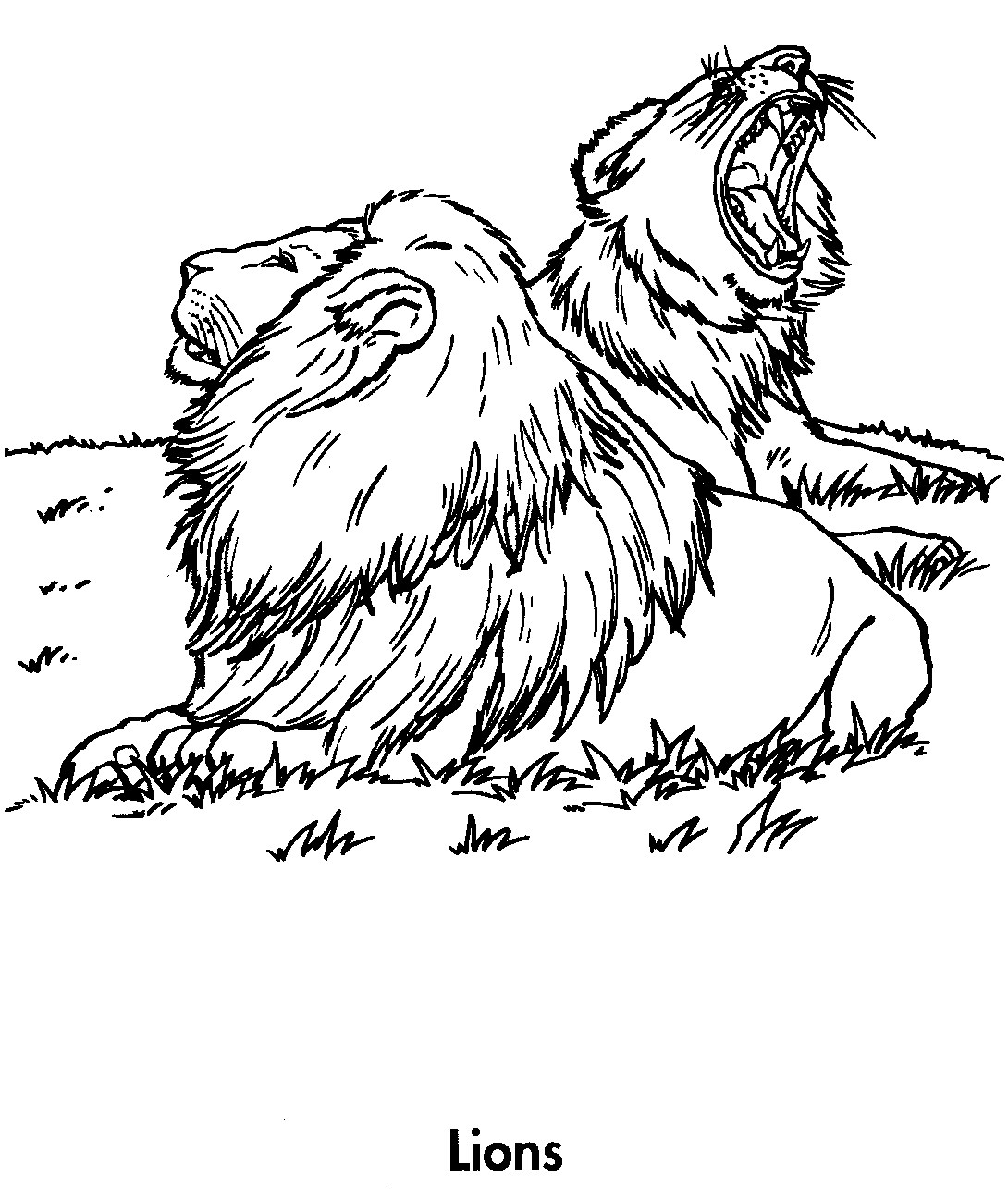 1090x1286 Sport Life Planet Earth Coloring Book Awesome Animals Pics - Sports Drawing Books