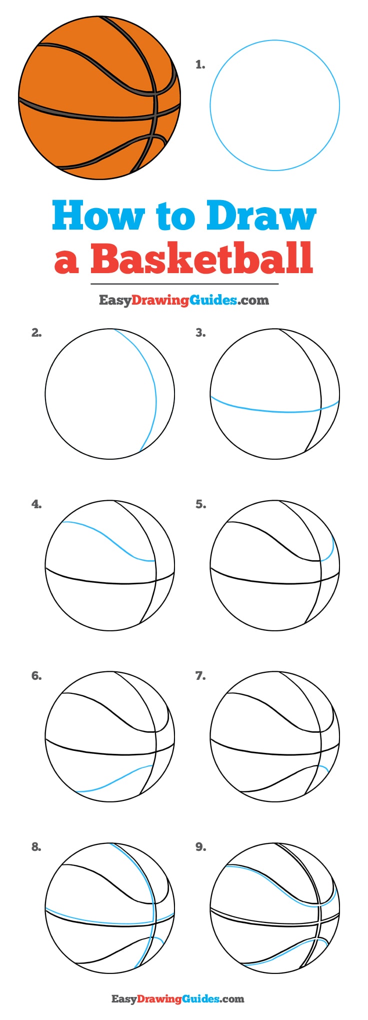 736x2039 How To Draw A Basketball - Sports Equipment Drawing