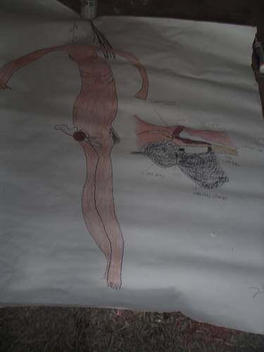 375x500 g spot drawing - Spot Drawing