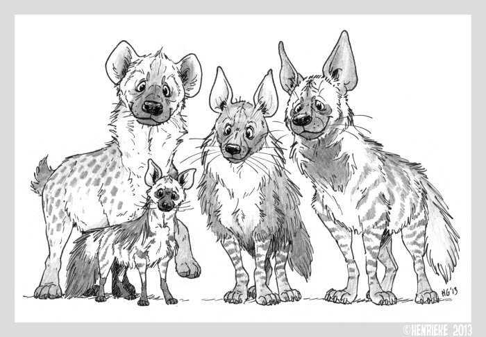 700x486 Hyenas - Spotted Hyena Drawing
