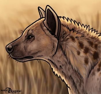 350x326 How To Draw Hyenas Drawing Painting Tutorials Hyena - Spotted Hyena Drawing