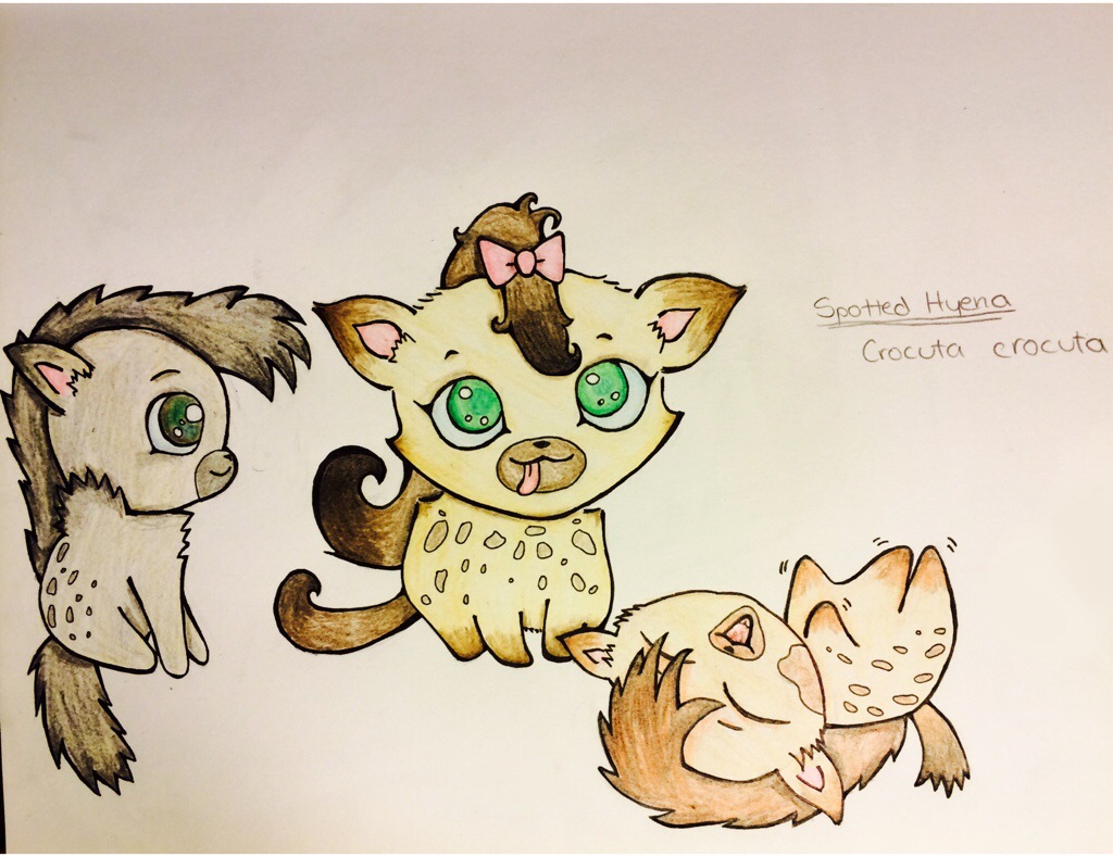 1024x789 How To Draw A Cute Cartoon Hyena Drawing Animals - Spotted Hyena Drawing