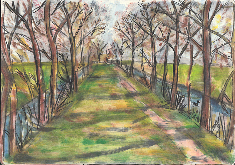 800x562 drawing in the spring rachel clark art - Spring Drawing Pictures