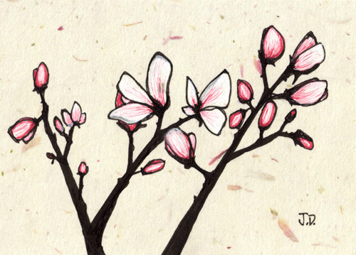 Spring Drawing Pictures at PaintingValley.com | Explore collection of ...