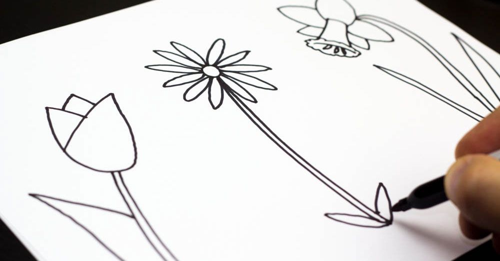 1000x522 How To Draw Three Spring Flowers - Spring Flowers Drawing