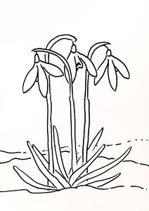 212x300 original snowdrops spring flowers ink drawing aceo art card ebay - Spring Flowers Drawing