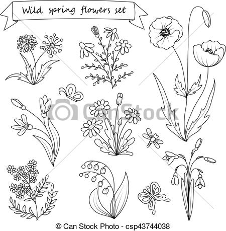 450x459 set of hand drawn wild spring flowers vector illustration botany - Spring Flowers Drawing