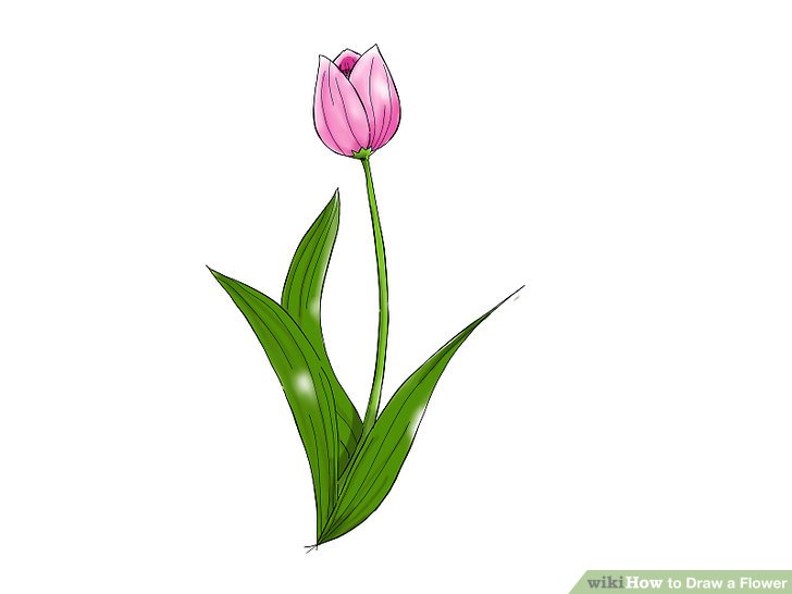 728x546 Easy Ways To Draw A Flower - Spring Flowers Drawing