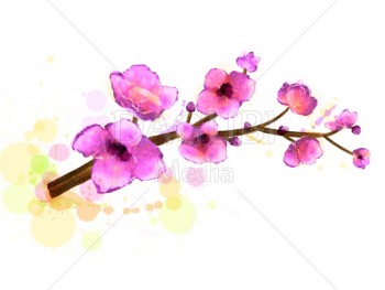 350x263 Dagubi - Spring Flowers Drawing
