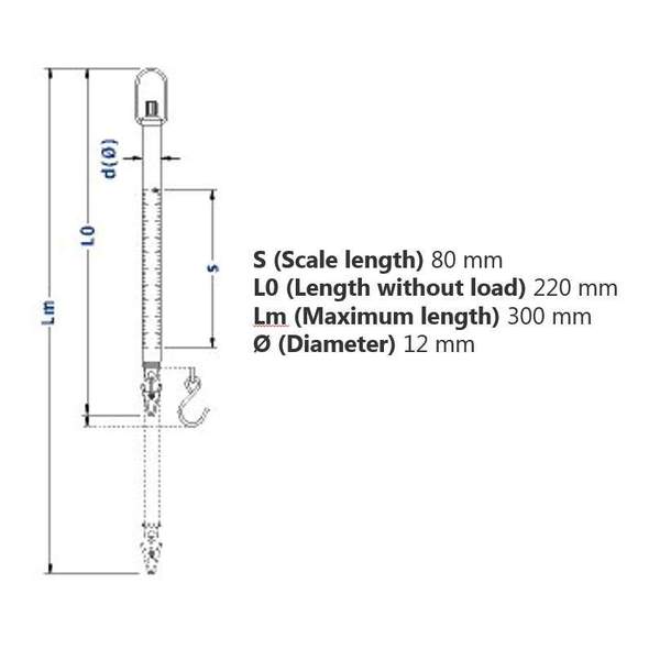 Spring Scale Drawing at Explore collection of