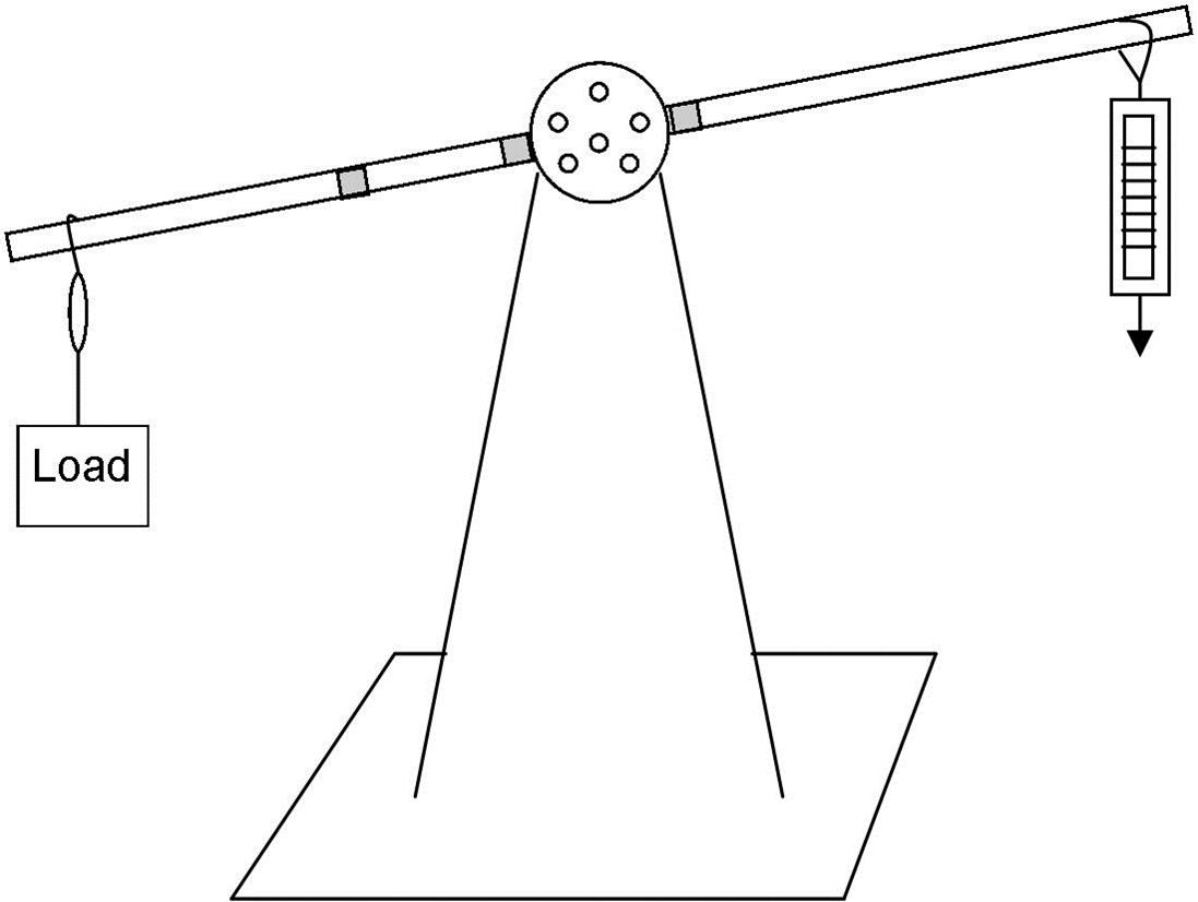 Spring Scale Drawing at Explore collection of