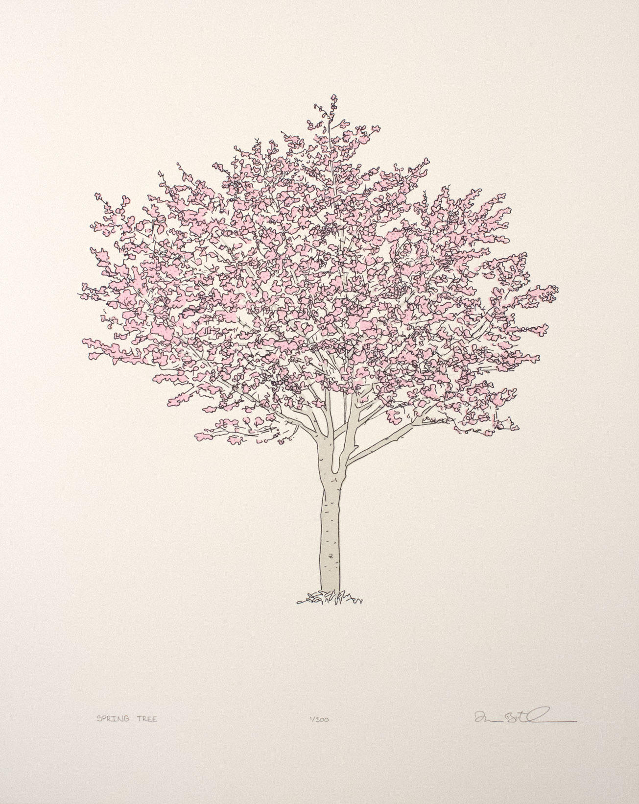 Spring Tree Drawing at PaintingValley.com | Explore collection of ...