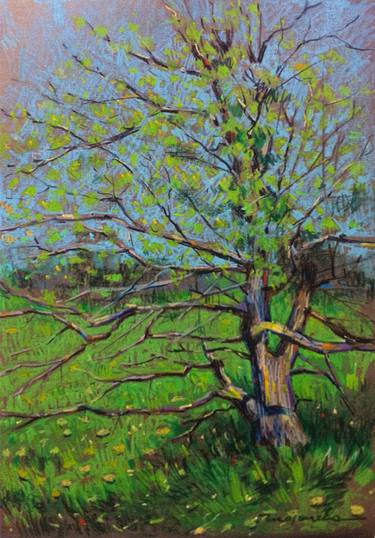 Spring Tree Drawing at PaintingValley.com | Explore collection of ...