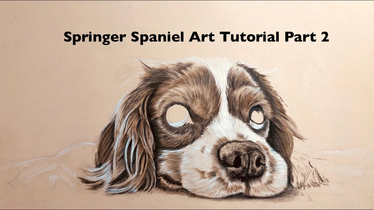 1280x720 How To Draw A Springer Spaniel Tutorial Part - Springer Spaniel Drawing