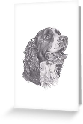 277x415 Classic English Springer Spaniel Dog Profile Drawing Greeting - Springer Spaniel Drawing