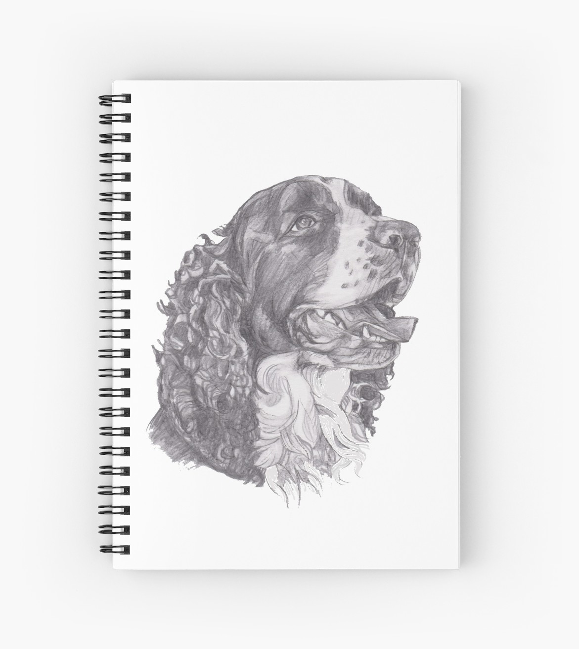 1171x1313 Classic English Springer Spaniel Dog Profile Drawing Spiral - Springer Spaniel Drawing
