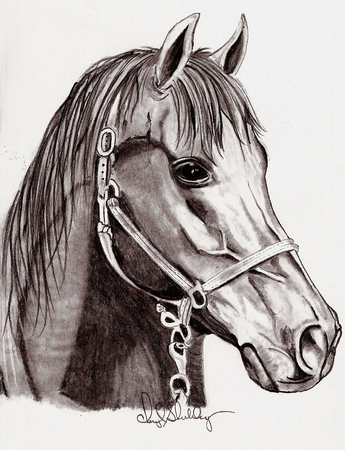 690x900 Sprinter Drawing - Sprinter Drawing