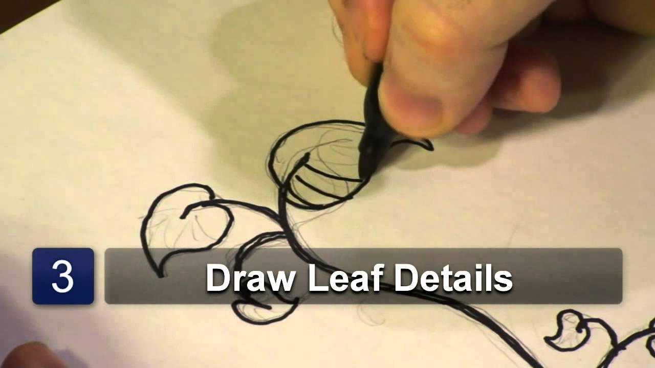 1280x720 How To Draw Bean Sprout Plant Leaves - Sprout Drawing