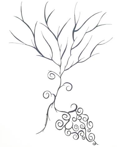 375x469 Winter Sprout Drawing - Sprout Drawing