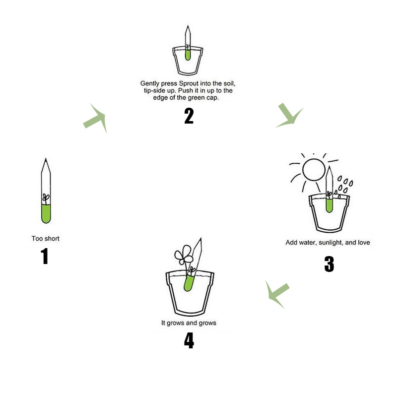 800x800 sprout pencil herb pack novelty wooden drawing plantable - Sprout Drawing