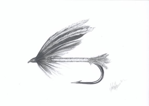 570x404 fly fishing art spruce fly print of original pencil drawing etsy - Spruce Drawing
