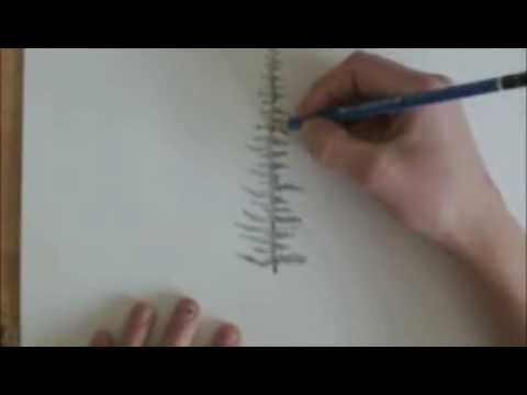 480x360 how to draw a spruce tree - Spruce Drawing