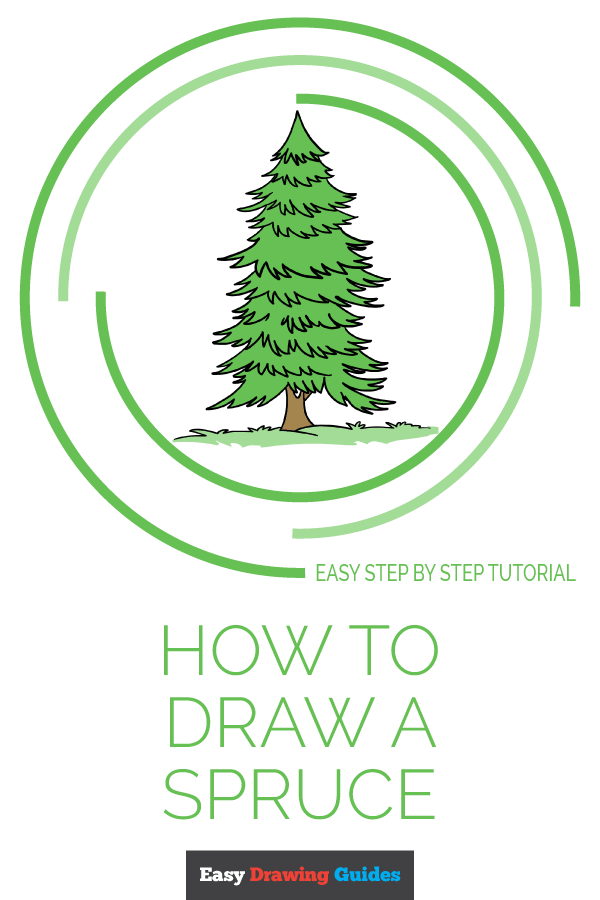 600x900 how to draw a spruce tree - Spruce Drawing