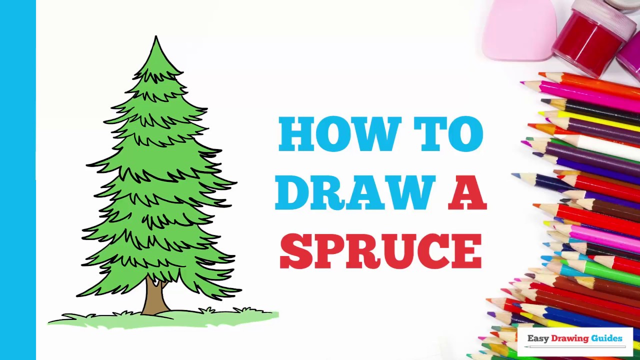 1280x720 how to draw a spruce tree in a few easy steps drawing tutorial - Spruce Drawing