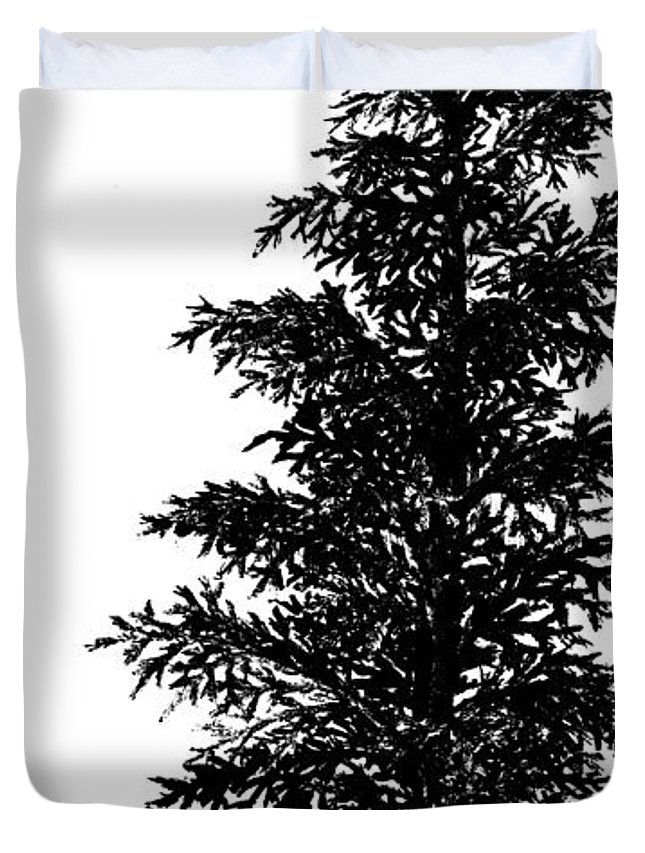 645x853 norway spruce drawing duvet cover for sale - Spruce Drawing