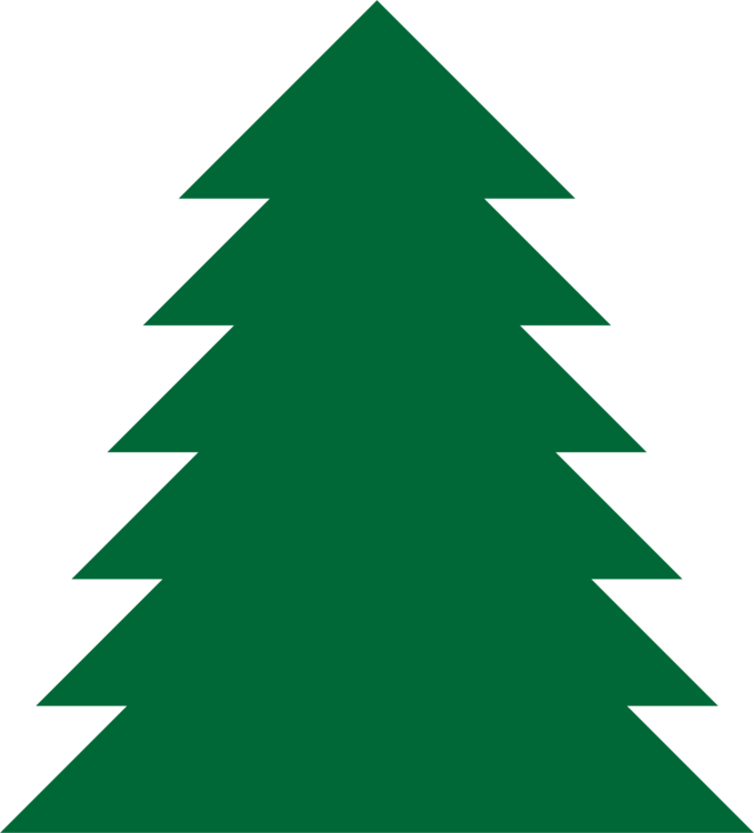 679x750 pine tree fir drawing spruce cc0 - Spruce Drawing