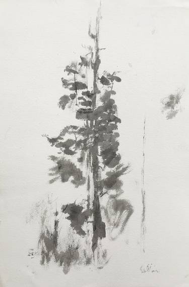 375x568 zeus study drawing - Spruce Drawing