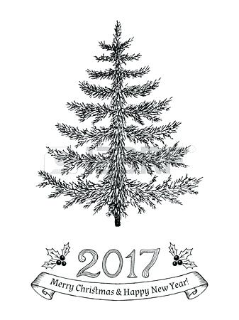 337x450 evergreen tree drawing figure evergreen tree drawing step - Spruce Drawing