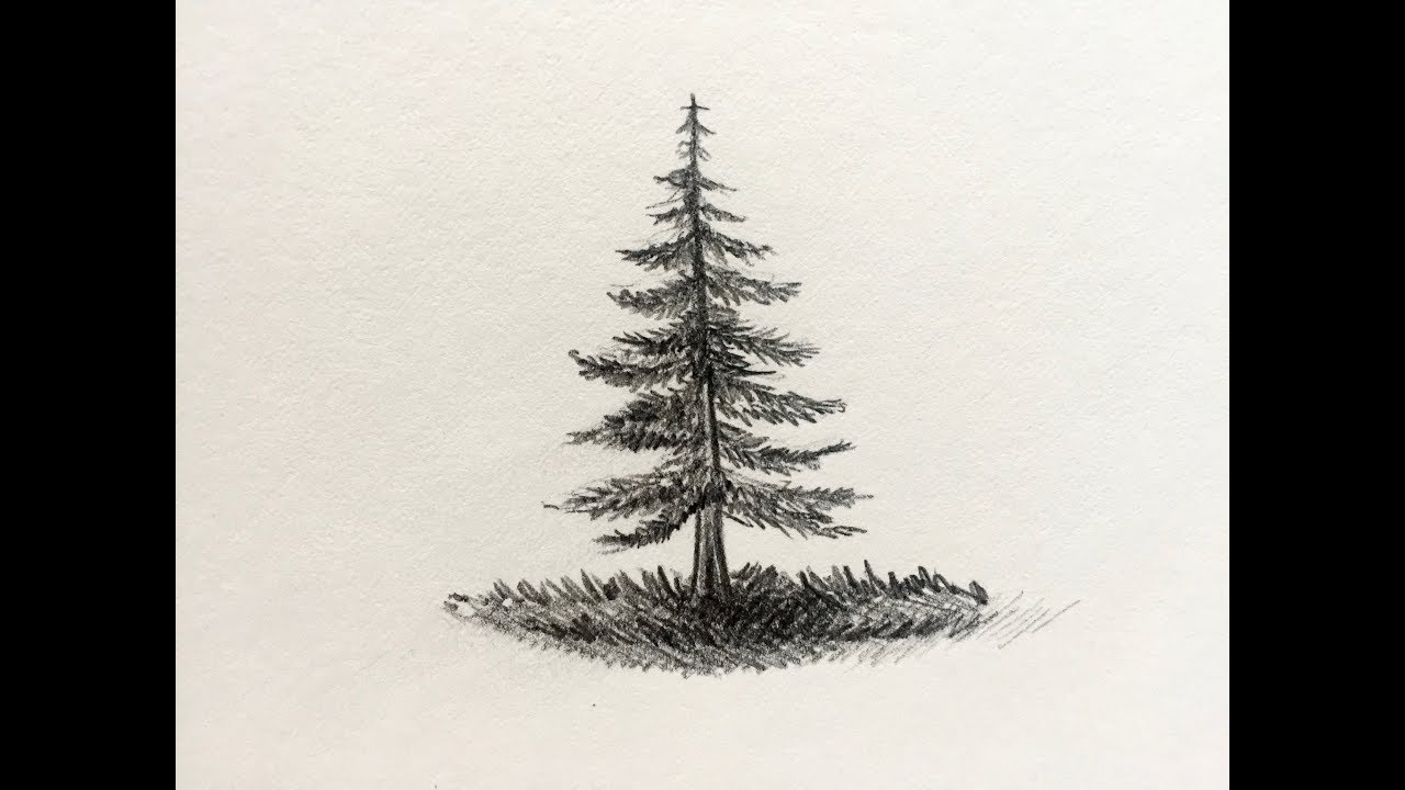 1280x720 how to draw a pine tree - Spruce Tree Drawing