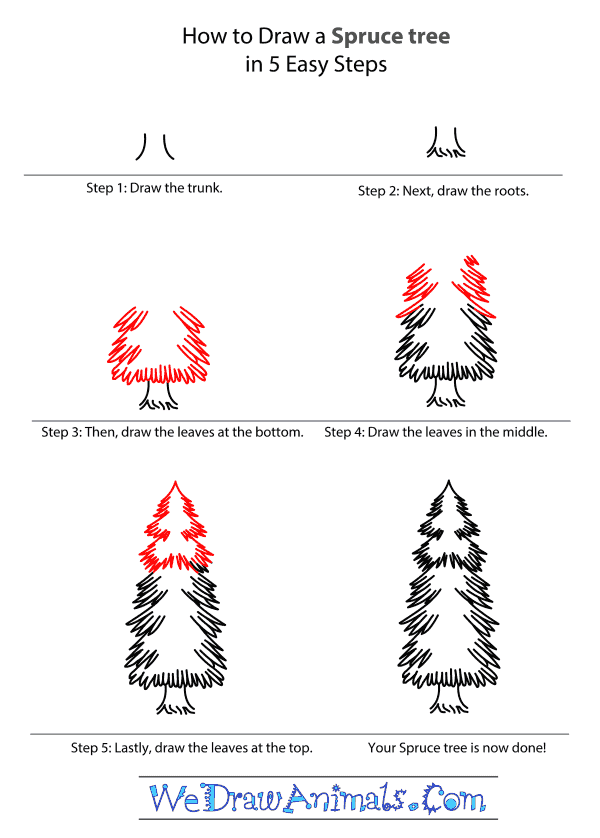 600x838 how to draw a spruce tree - Spruce Tree Drawing