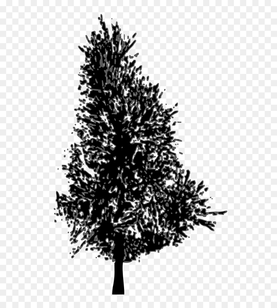900x1000 pine, tree, drawing, transparent png image clipart free download - Spruce Tree Drawing