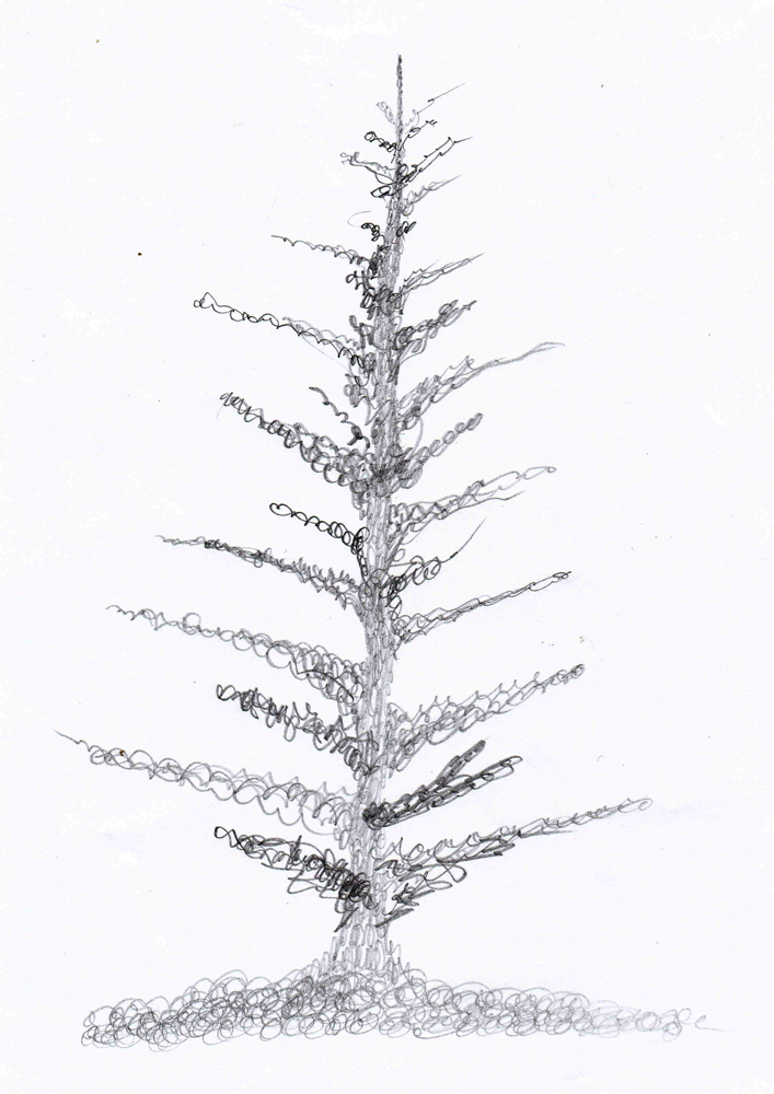 707x1000 weekly doodles and tuts drawspace lesson - Spruce Tree Drawing