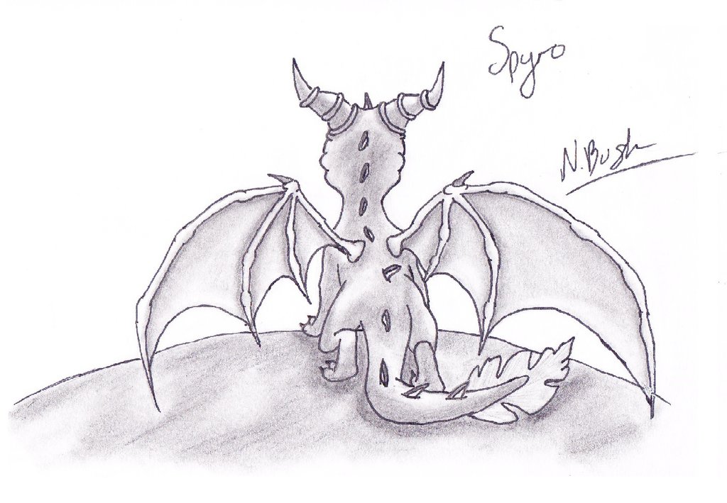 1024x709 Spyro Drawing Best Drawing Skill - Spyro Drawing
