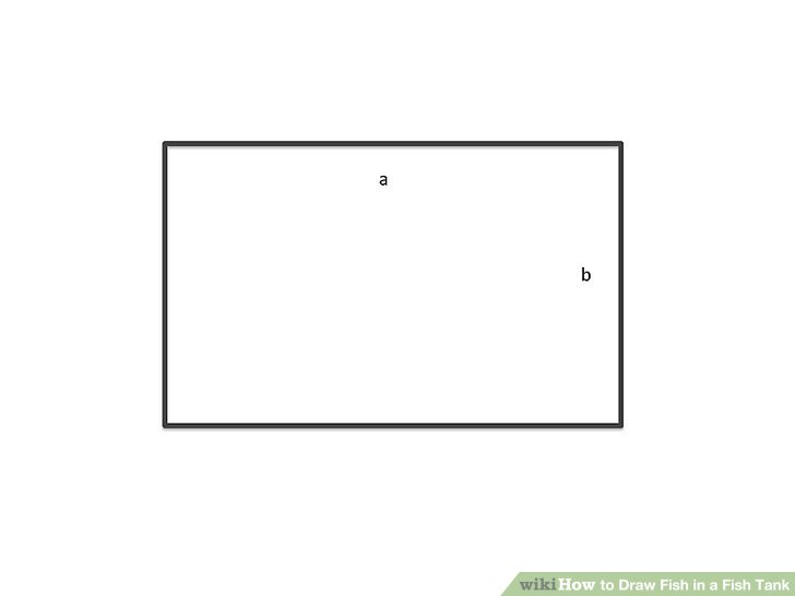 728x546 How To Draw Fish In A Fish Tank Steps - Square Drawing