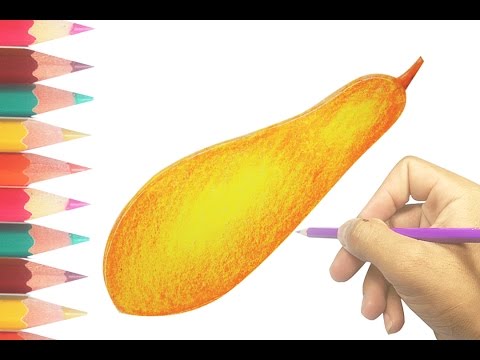 480x360 how to draw a squash - Squash Drawing