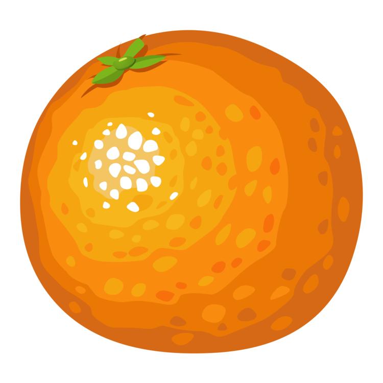 750x750 orange juice computer icons fruit drawing cc0 - Squash Drawing