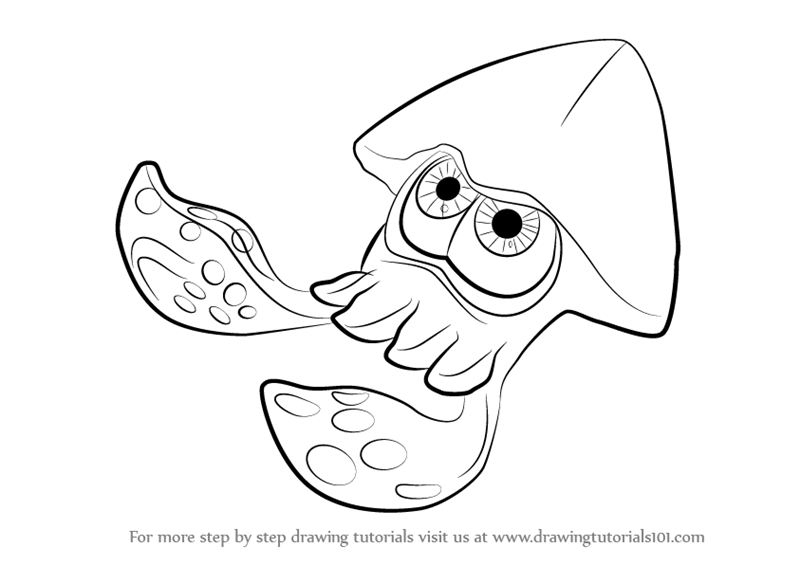 800x565 learn how to draw inkling squid from splatoon - Squid Drawing
