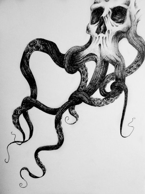 570x760 surreal skull octopus squid drawing print - Squid Drawing