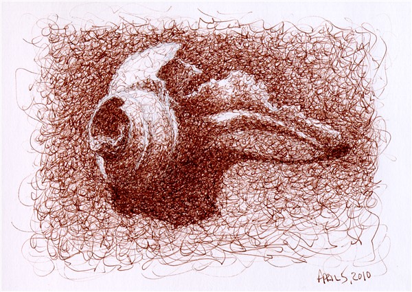 600x425 sea shell pen and ink squiggle drawing pen and ink - Squiggle Drawing