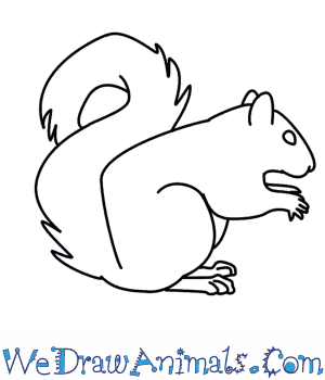 300x350 how to draw a squirrel - Squirrel Cartoon Drawing