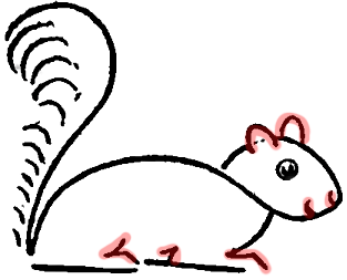 313x253 How To Draw Cartoon Squirrels With Simple Step - Squirrel Cartoon Drawing