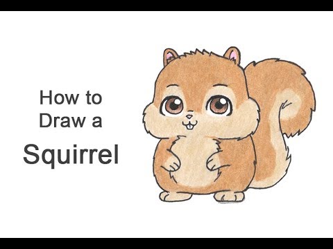 480x360 How To Draw A Squirrel - Squirrel Cartoon Drawing