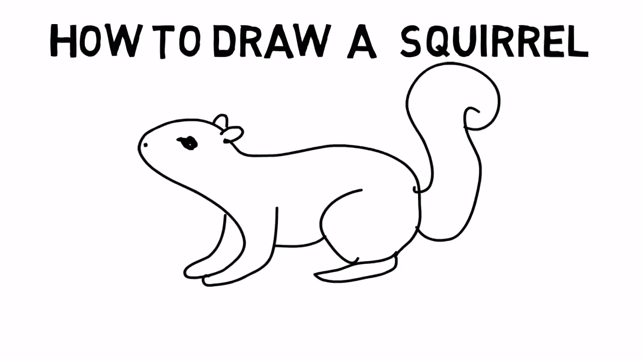 1280x720 squirrel sketch picture how to draw a squirrel sketch picture - Squirrel Drawing