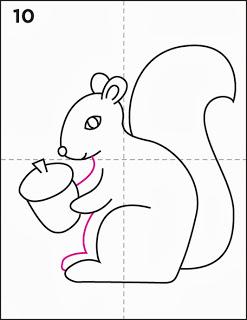 247x320 How To Draw A Squirrel Tutorial - Squirrel Drawing Easy