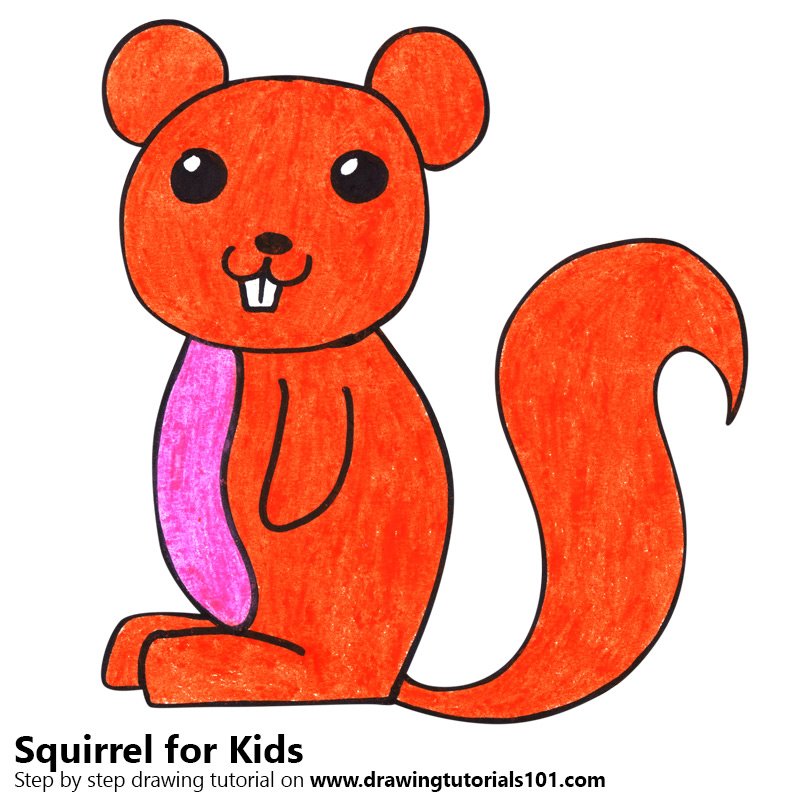 800x800 Learn How To Draw A Squirrel For Kids - Squirrel Drawing Easy